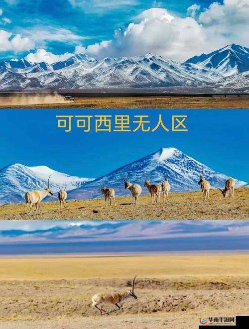 亚洲无人区码卡二卡三卡第探索亚洲无人区，码卡二卡三卡之谜