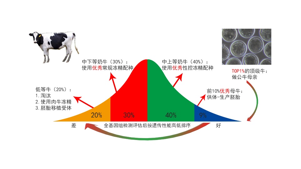 奶牛…app奶牛app引领福祉之路，欢迎加入健康生活新篇章-第2张图片