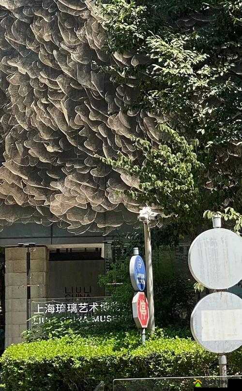 114大但人文艺术欣赏人文艺术欣赏之旅，探索114大艺术作品的魅力