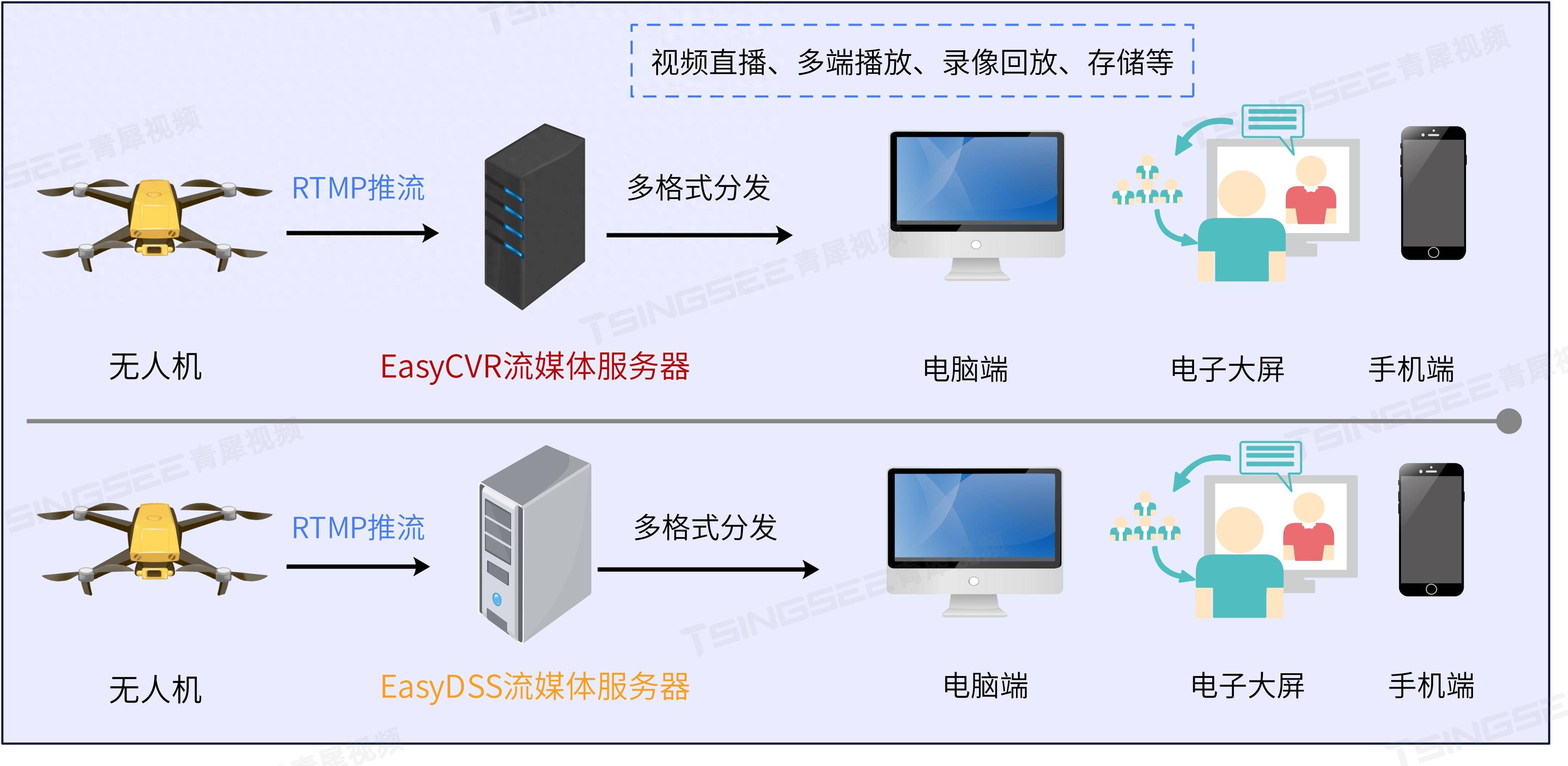 网站视频与APP的深度解析