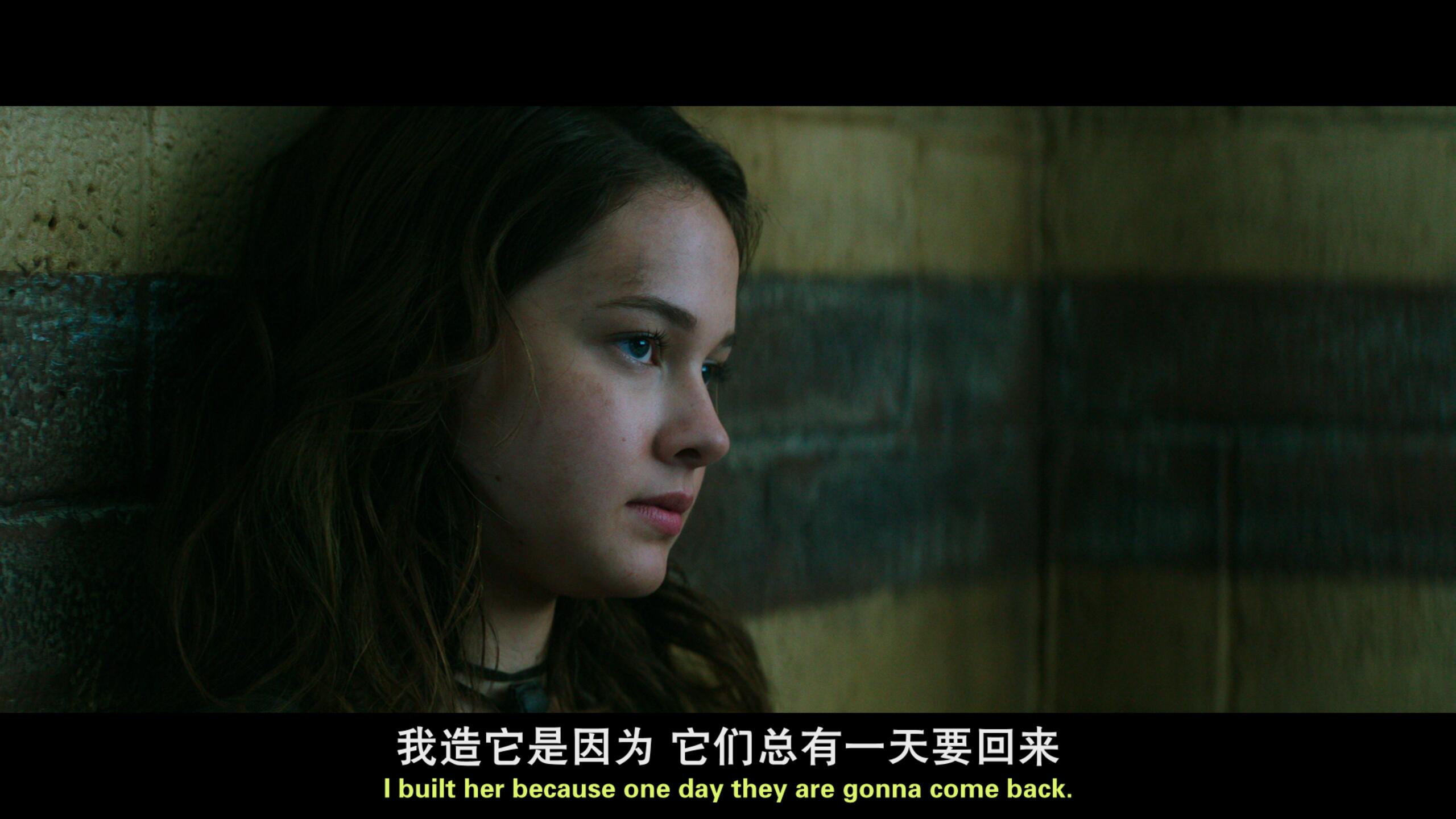 最近最好看的2018中文字幕国语2018年热门国语片，精选佳作与中文字幕的完美结合-第3张图片