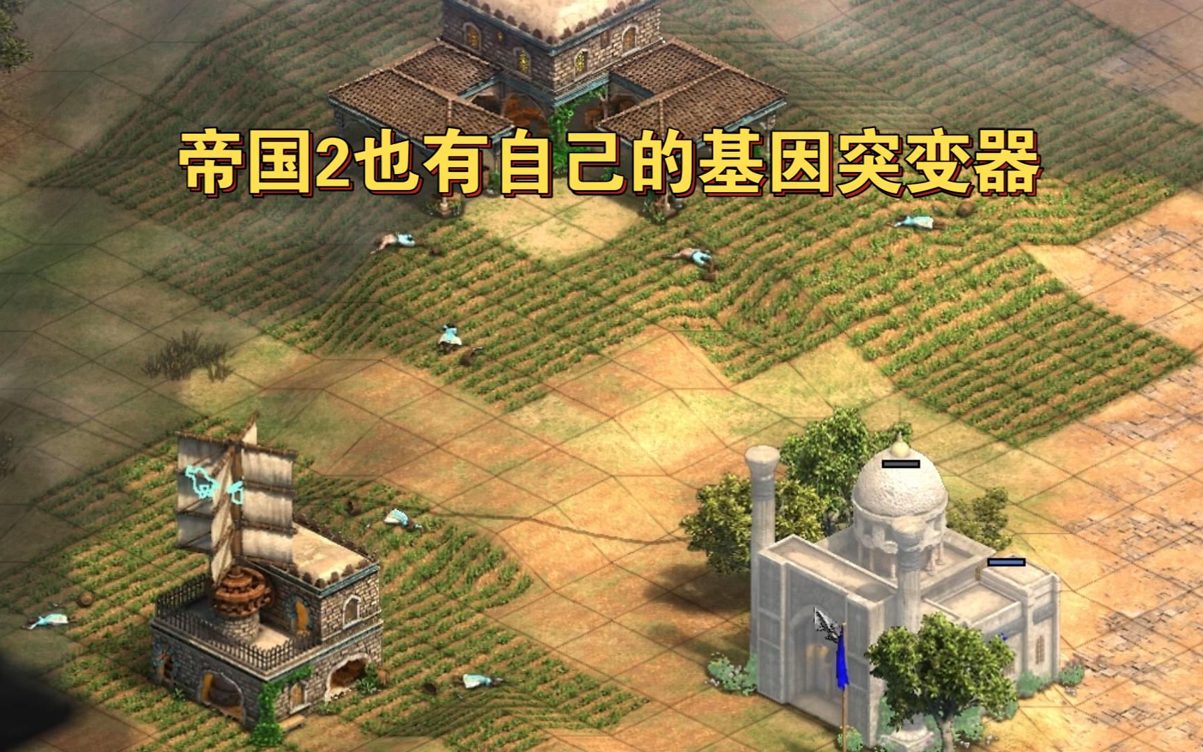帝国时代，秘籍的力量-第2张图片