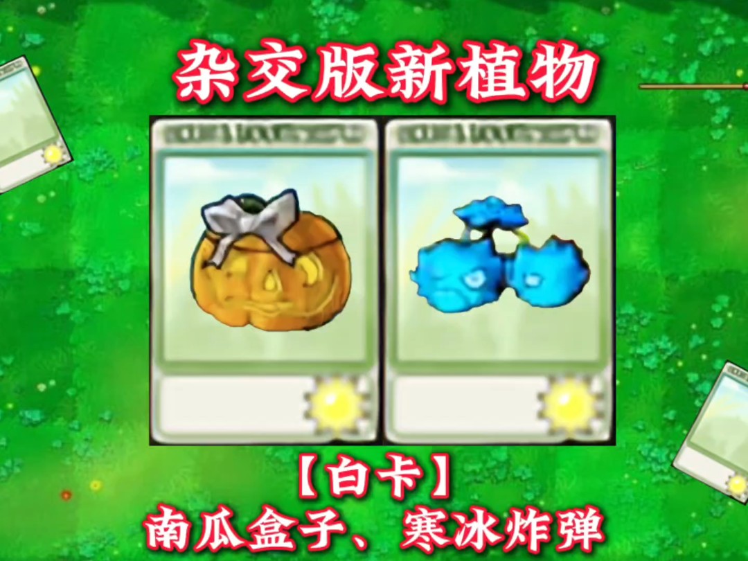 寒冰之爪寒冰之爪，冰封之力的神秘传说