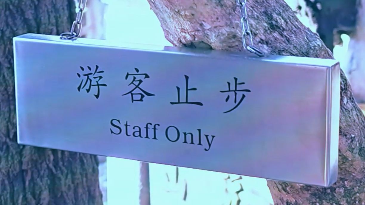 游客必备，如何安全有效地进行游客止步下载