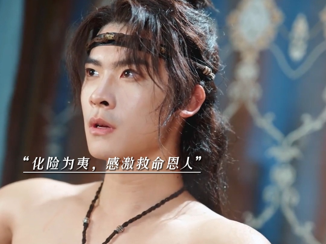 红果免费剧场短剧大全，剧名背后的精彩世界