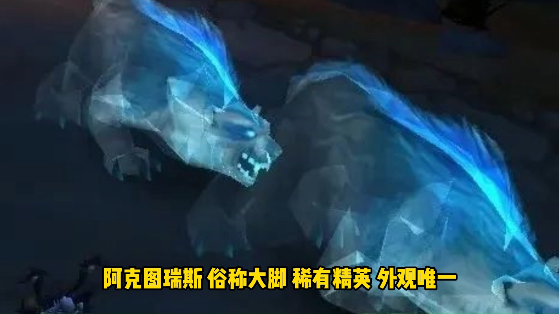 魔兽宠物魔兽宠物，探索游戏中的独特魅力-第2张图片