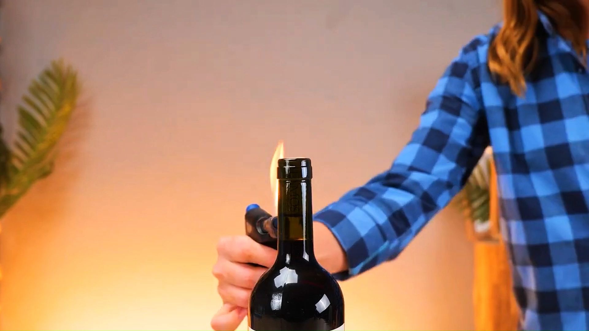 红酒瓶塞的独特魅力-第2张图片