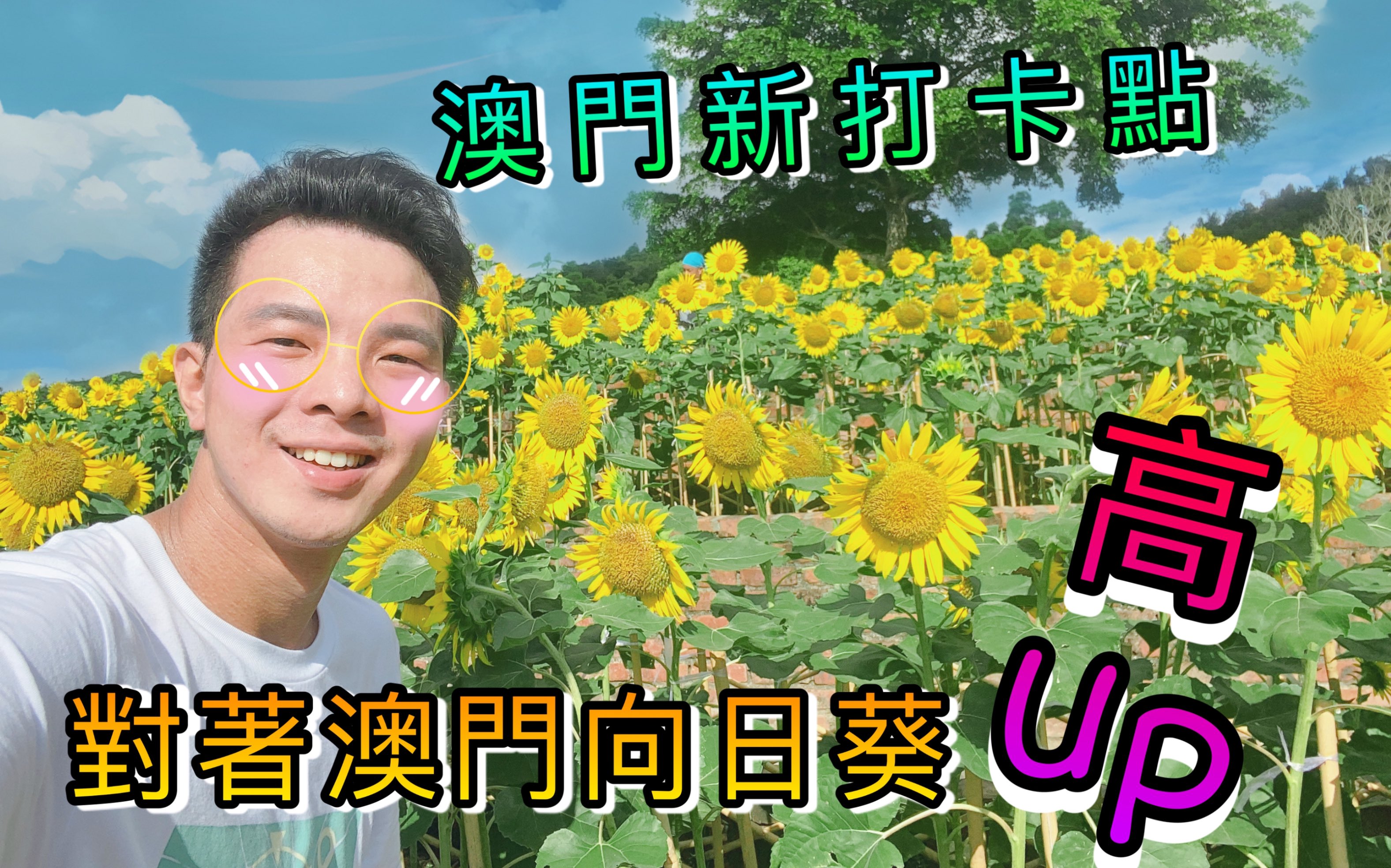 探索向日葵app官方网站，开启全新体验之旅