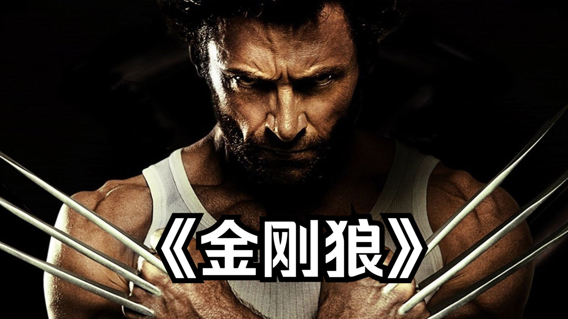 金刚狼游戏金刚狼游戏，探索与冒险的传奇之旅