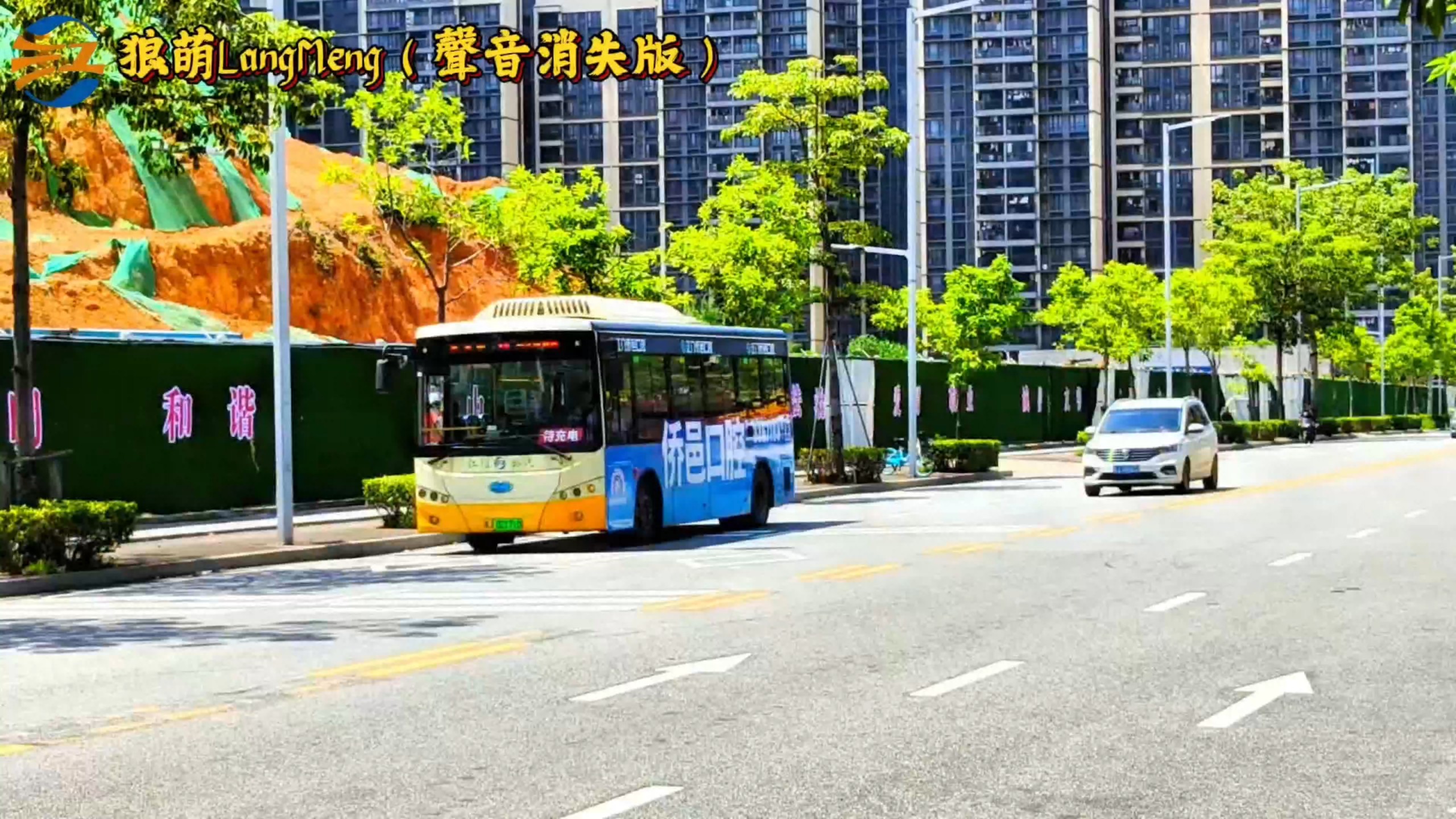 公交车合集公交车合集，城市交通的脉搏-第2张图片