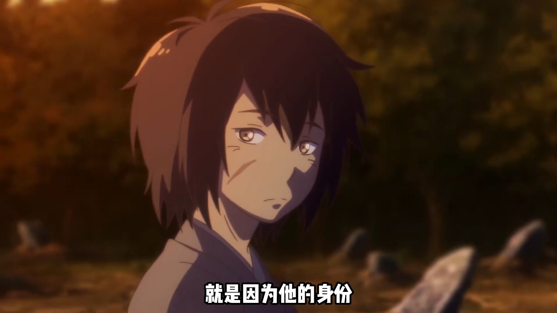 灰狐灰狐，神秘森林的精灵