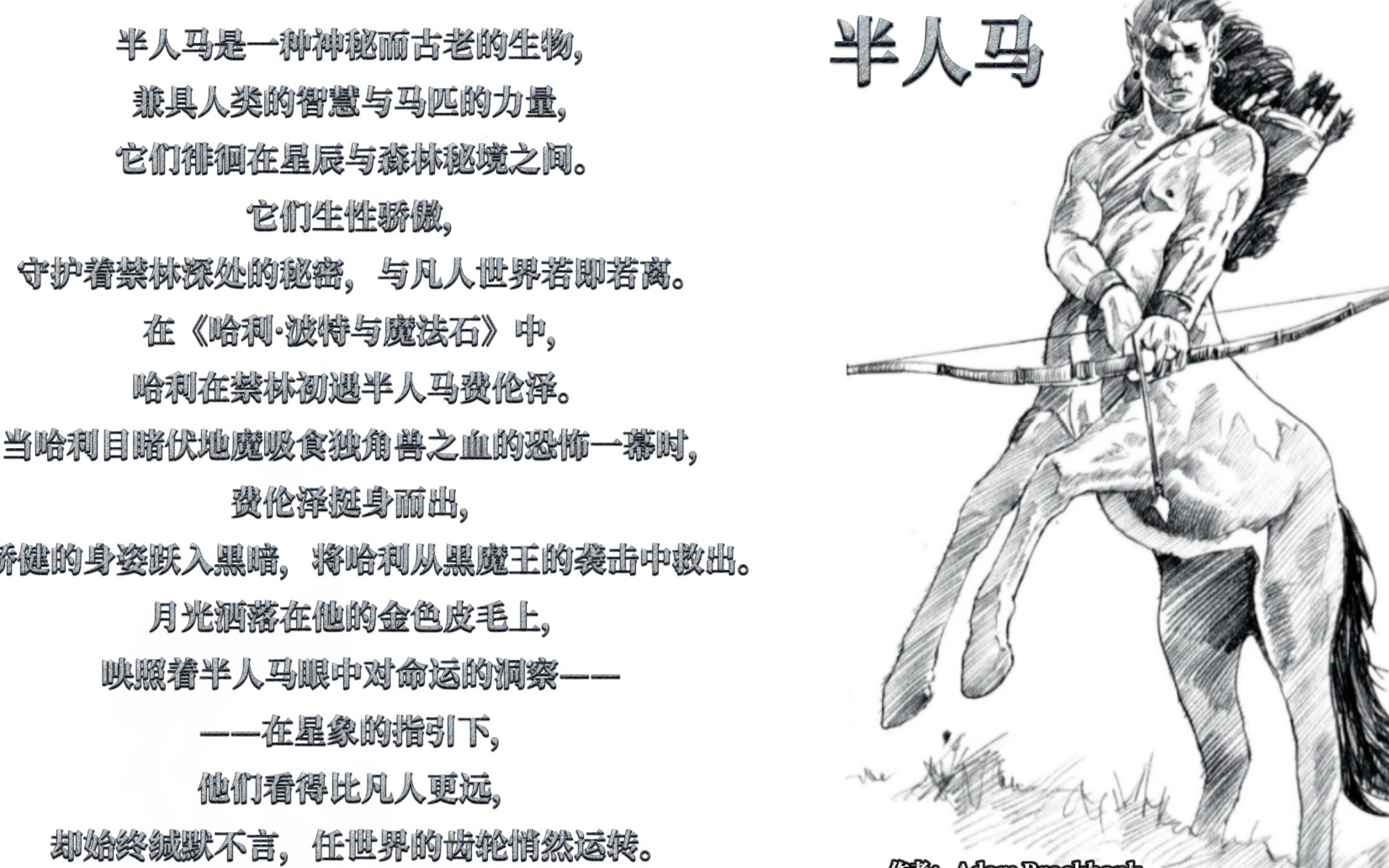 人马打野一级人马打野，战术与技巧的完美结合