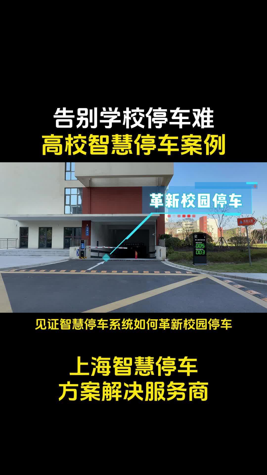 停车大挑战停车大挑战，一场智慧与耐心的较量-第2张图片