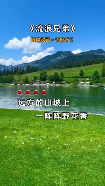 野花香视频在线观看社区野花香视频在线观看社区，探索自然之美与文化交流的新平台