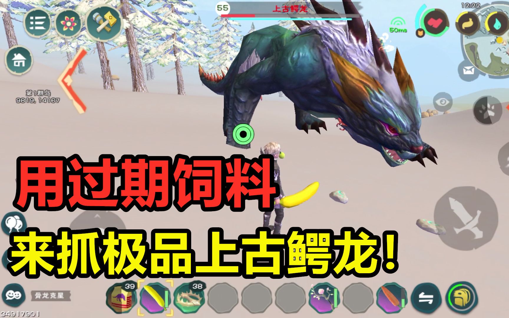 探索创造与魔法的奥秘——海鳄龙的故事-第2张图片