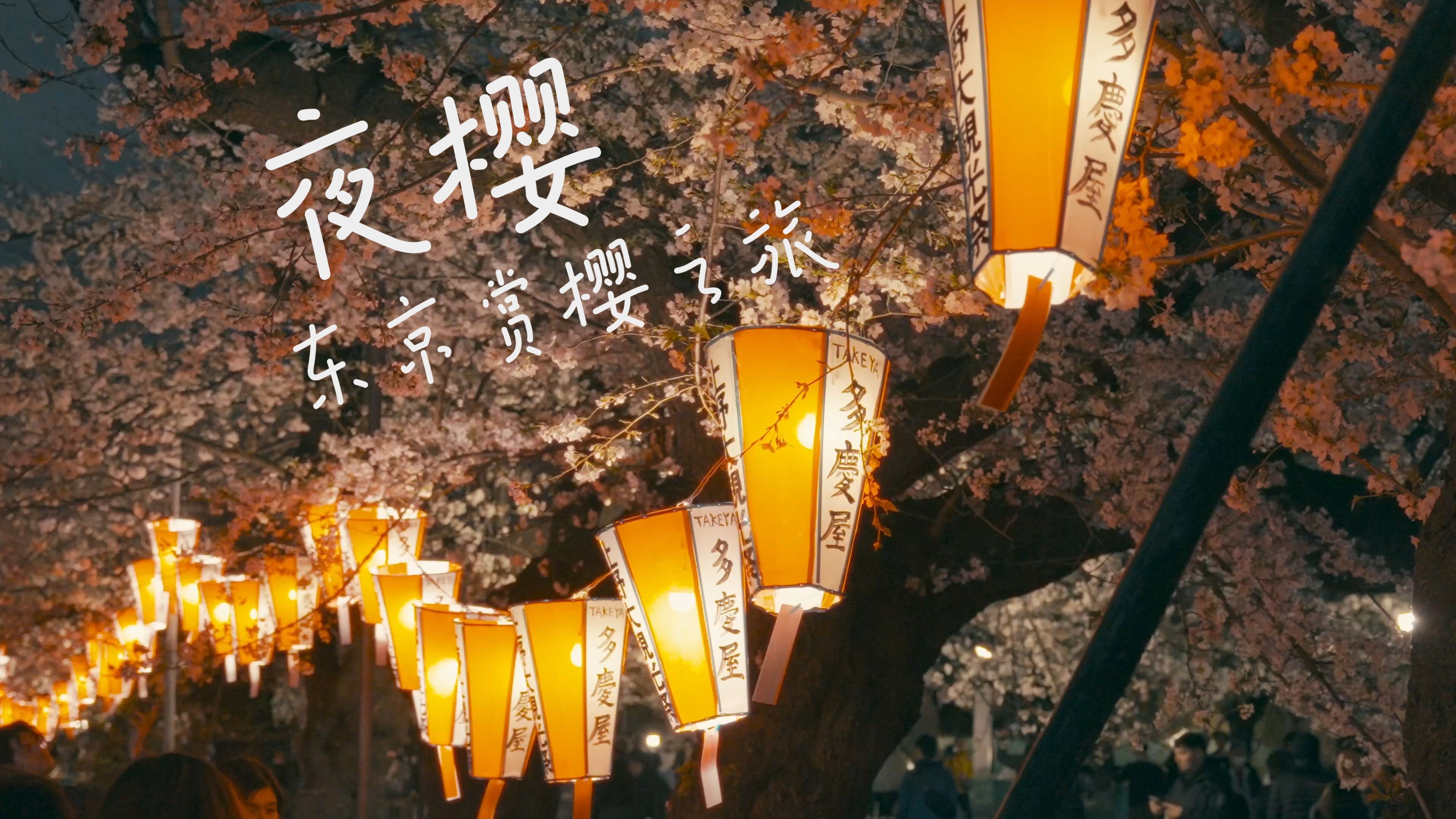 凌晨三点看日本好吗野花图片凌晨三点，探索日本之美，野花之魅力-第2张图片