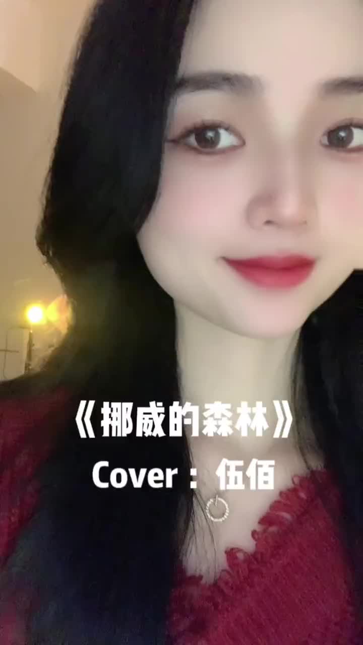 挪威的森林晚上打扑克视频挪威森林之夜，扑克牌的魅力与夜晚的宁静