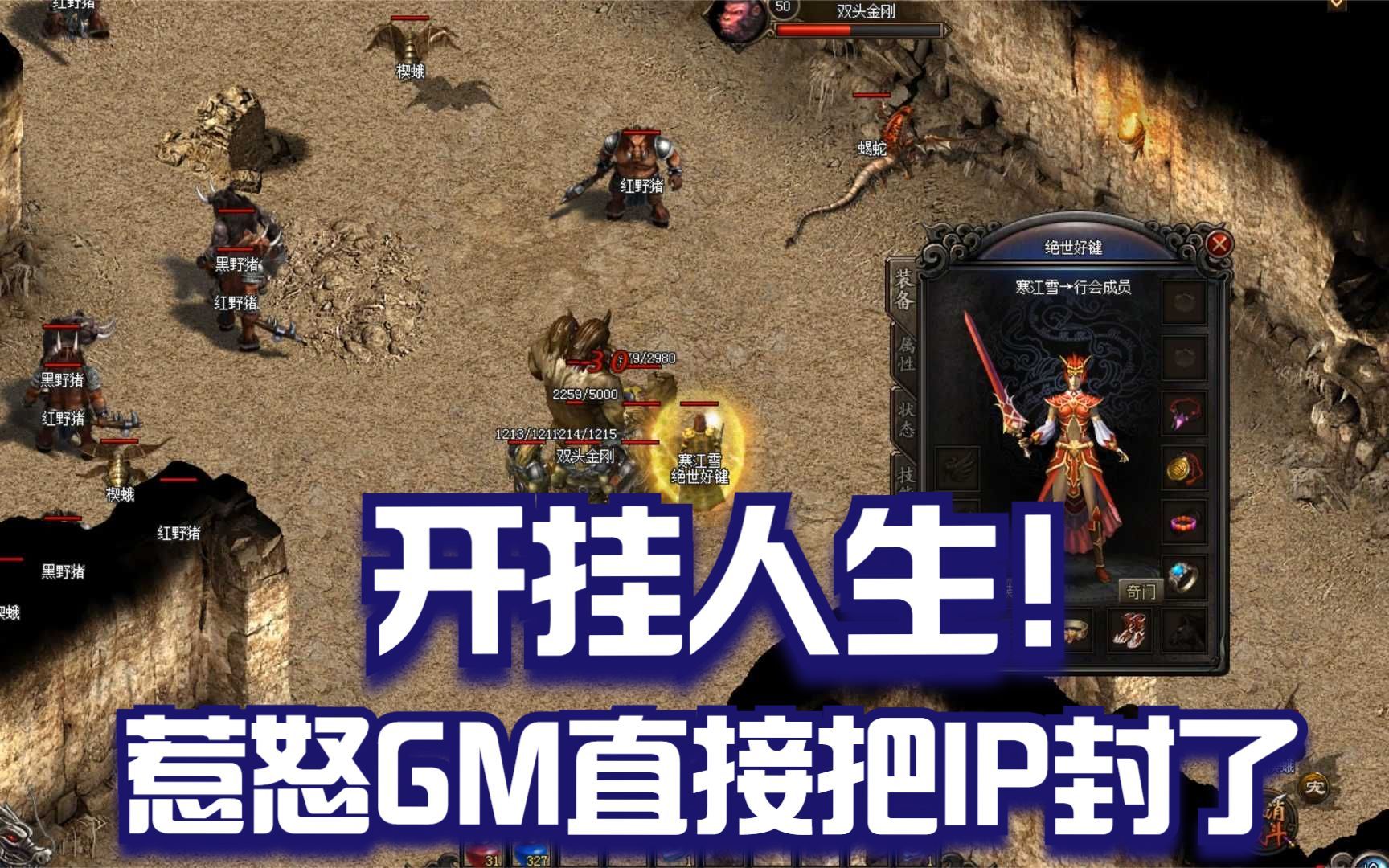 热血开挂番热血外挂，游戏世界的双刃剑-第2张图片