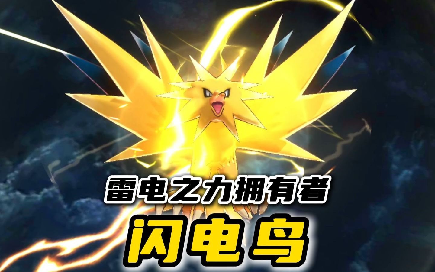 探索神秘之鸟——闪电鸟