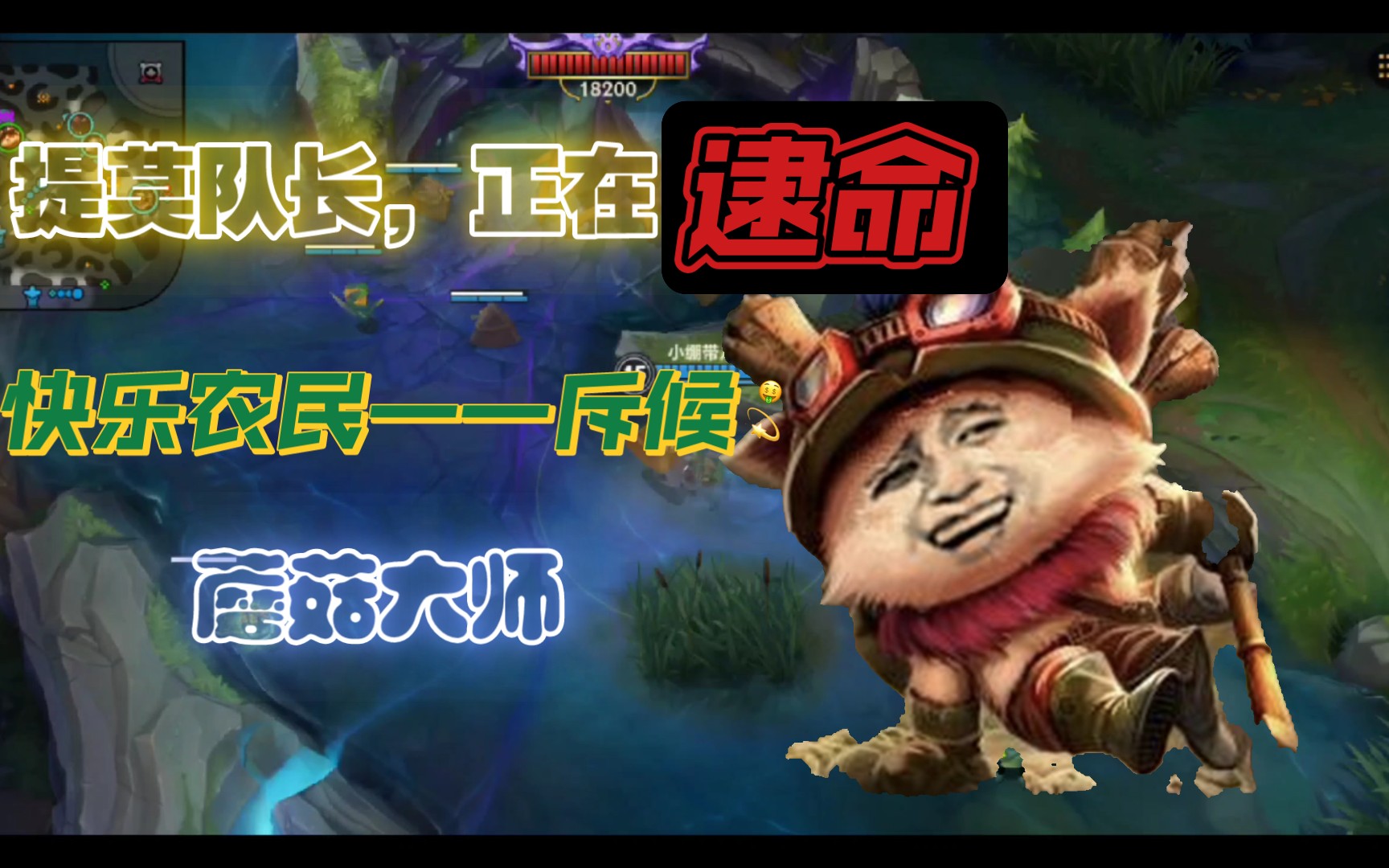 提莫出装顺序提莫出装顺序详解-第2张图片