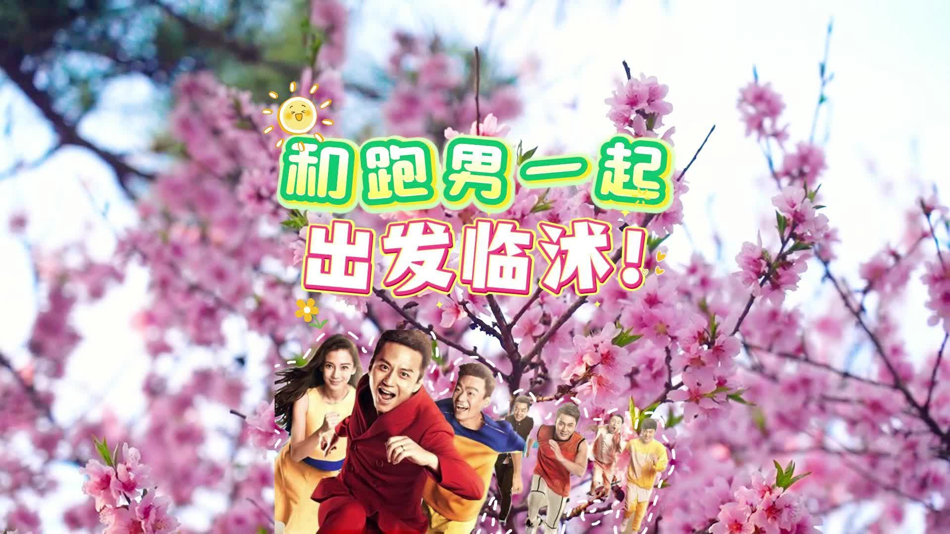 gogogo高清视频大全免费观探索GOGOGO高清视频大全的精彩世界