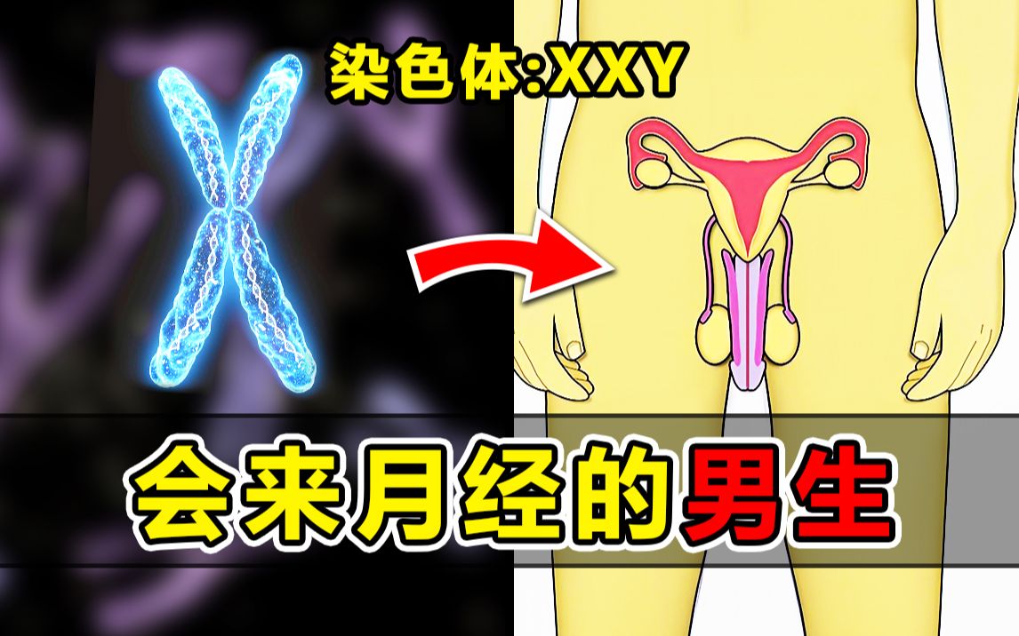 双性生子产乳调教父子年上双性生子与产乳调教，探索不同寻常的育儿之路-第1张图片