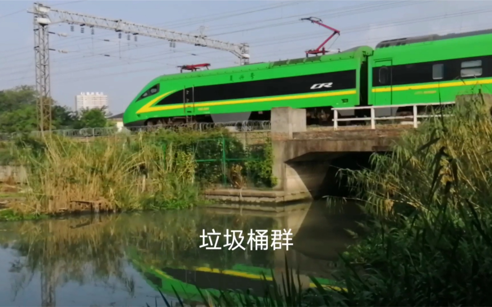 japonensisjava成熟大豆在线入口版 | 垃圾站JAPONENSISJAVA，成熟大豆的魅力与价值-第3张图片