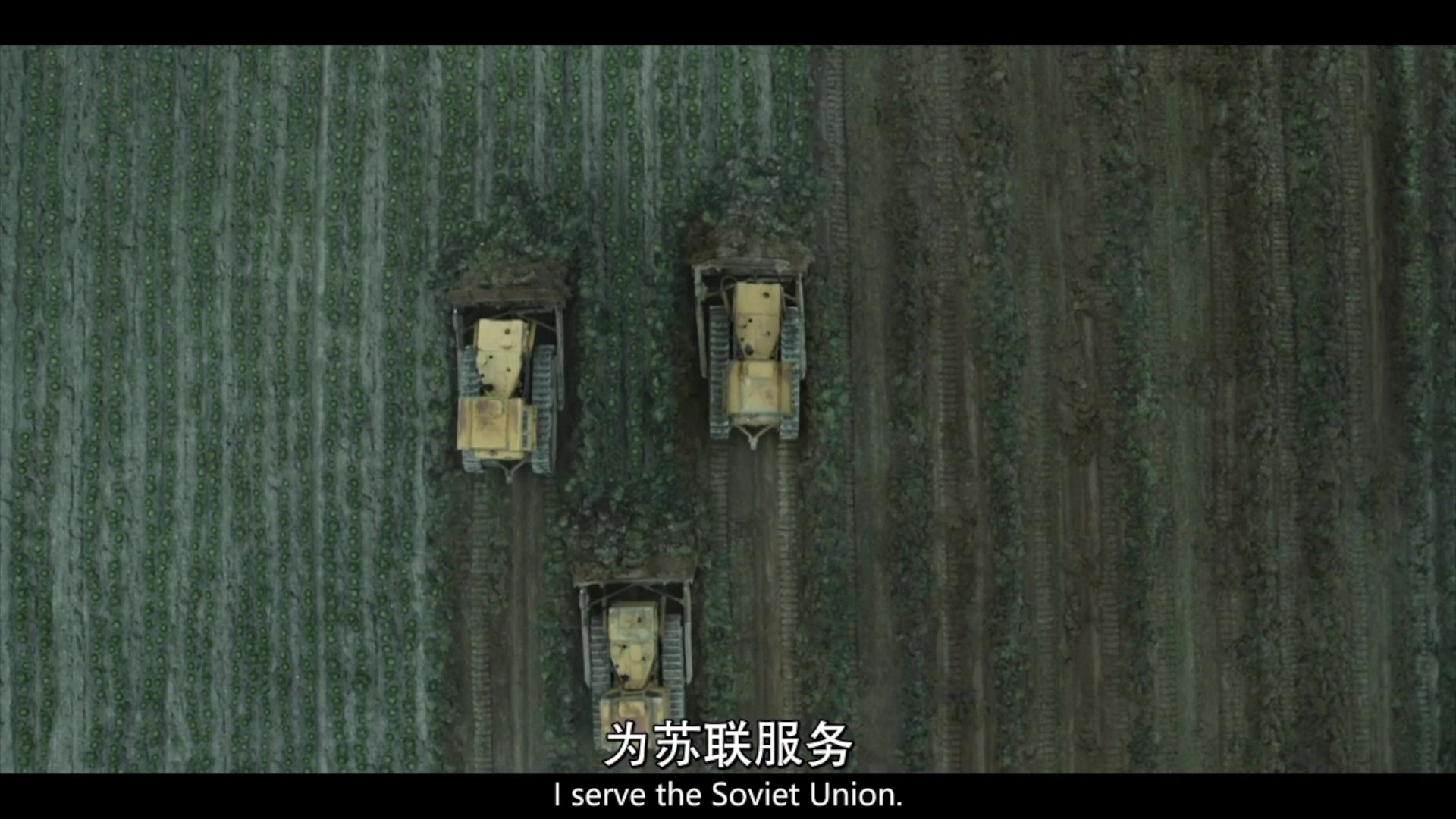 中文乱码字幕无线观看2019中文乱码字幕无线观看2019的探索与解析-第2张图片