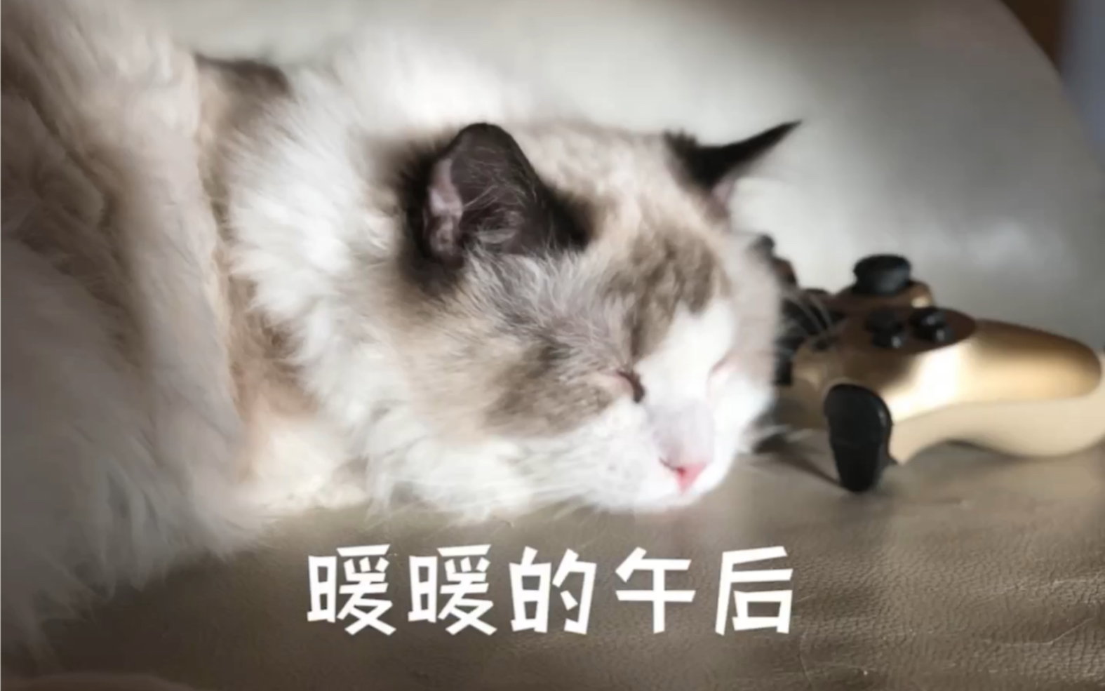 暖暖的午后，免费高清的日本中文体验