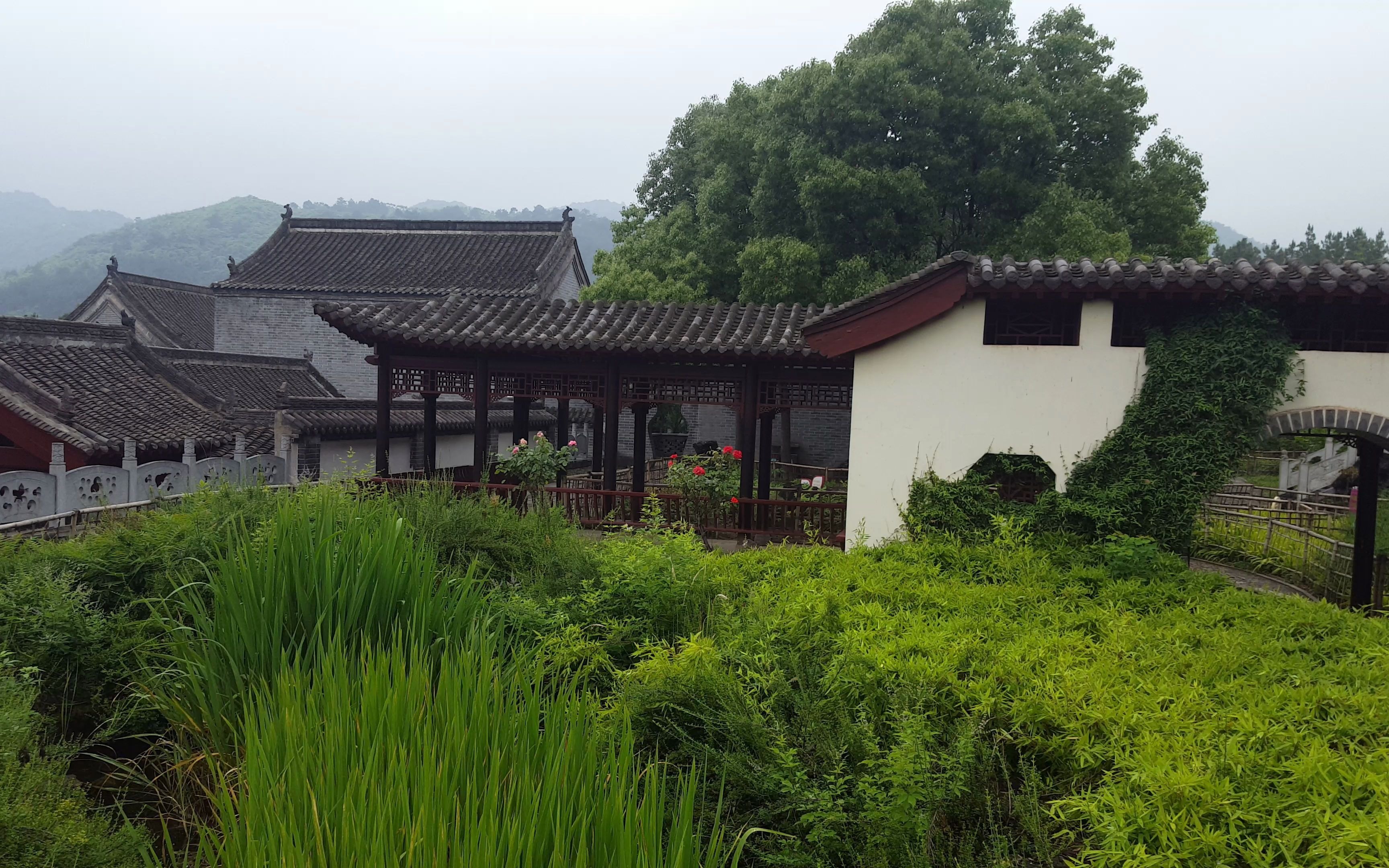 桐柏英雄发生在什么地方梧桐英雄的传奇故事