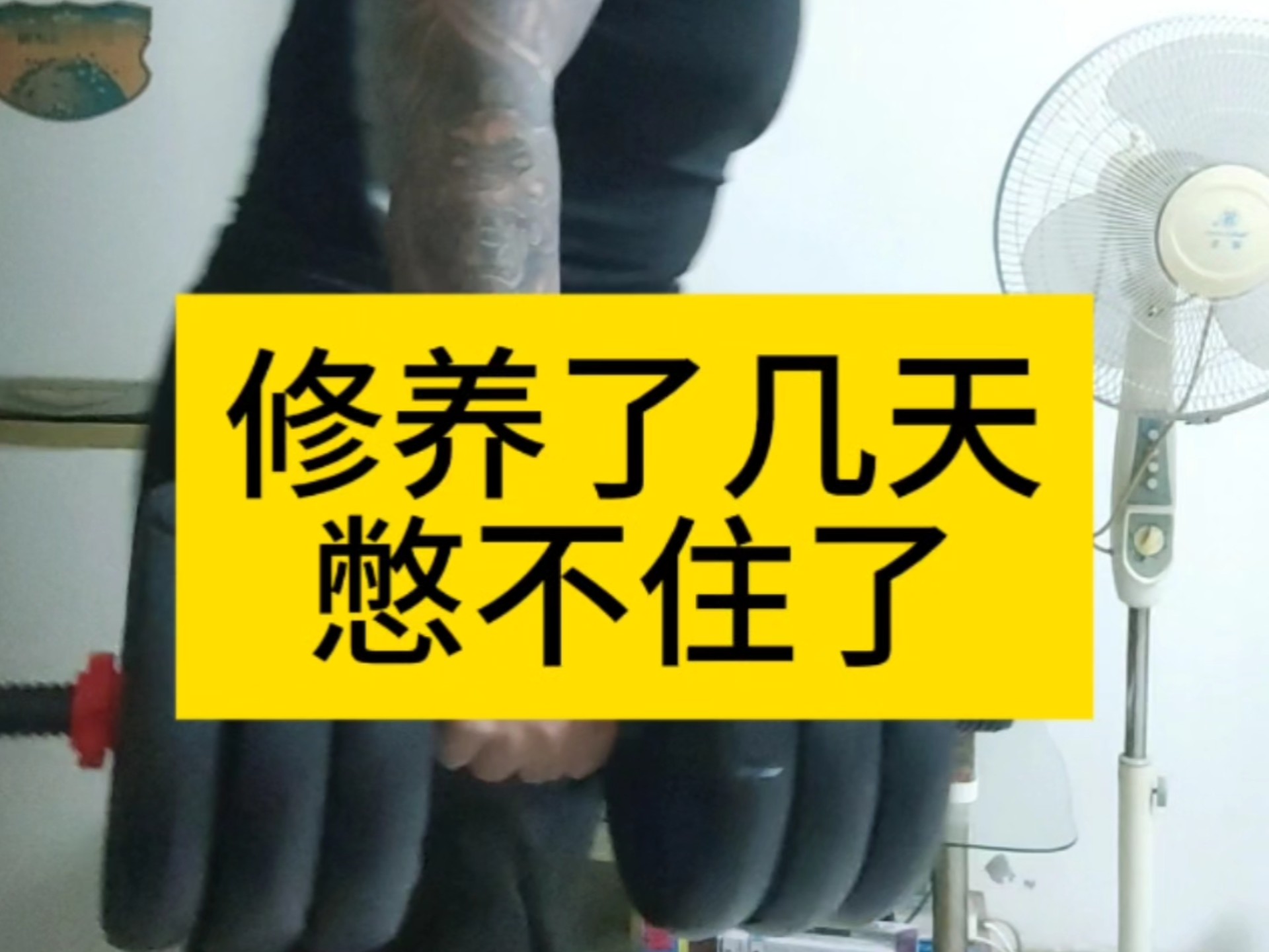 小SB几天没做SAO死了小SB的自我挑战，几天未做SAO的深度体验-第2张图片