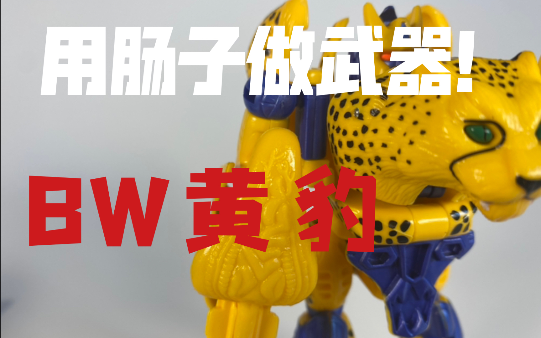 老BWBWBWBWBW最新老BWBWBWBWBW最新动态与探索
