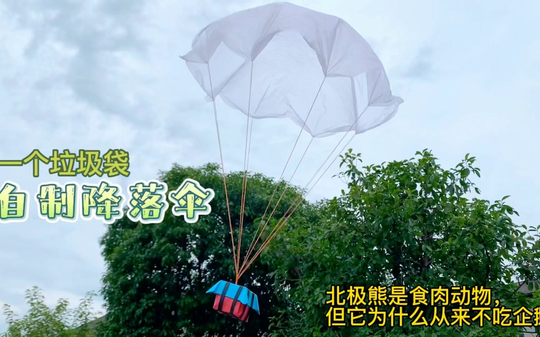 大熊猫捡到游客的伞还给撑开了大熊猫的善意与伞的奇妙之旅-第2张图片