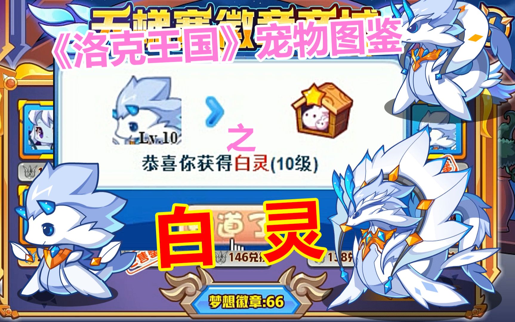 洛克宠物大全名字洛克宠物大全，探索与收藏的奇妙世界