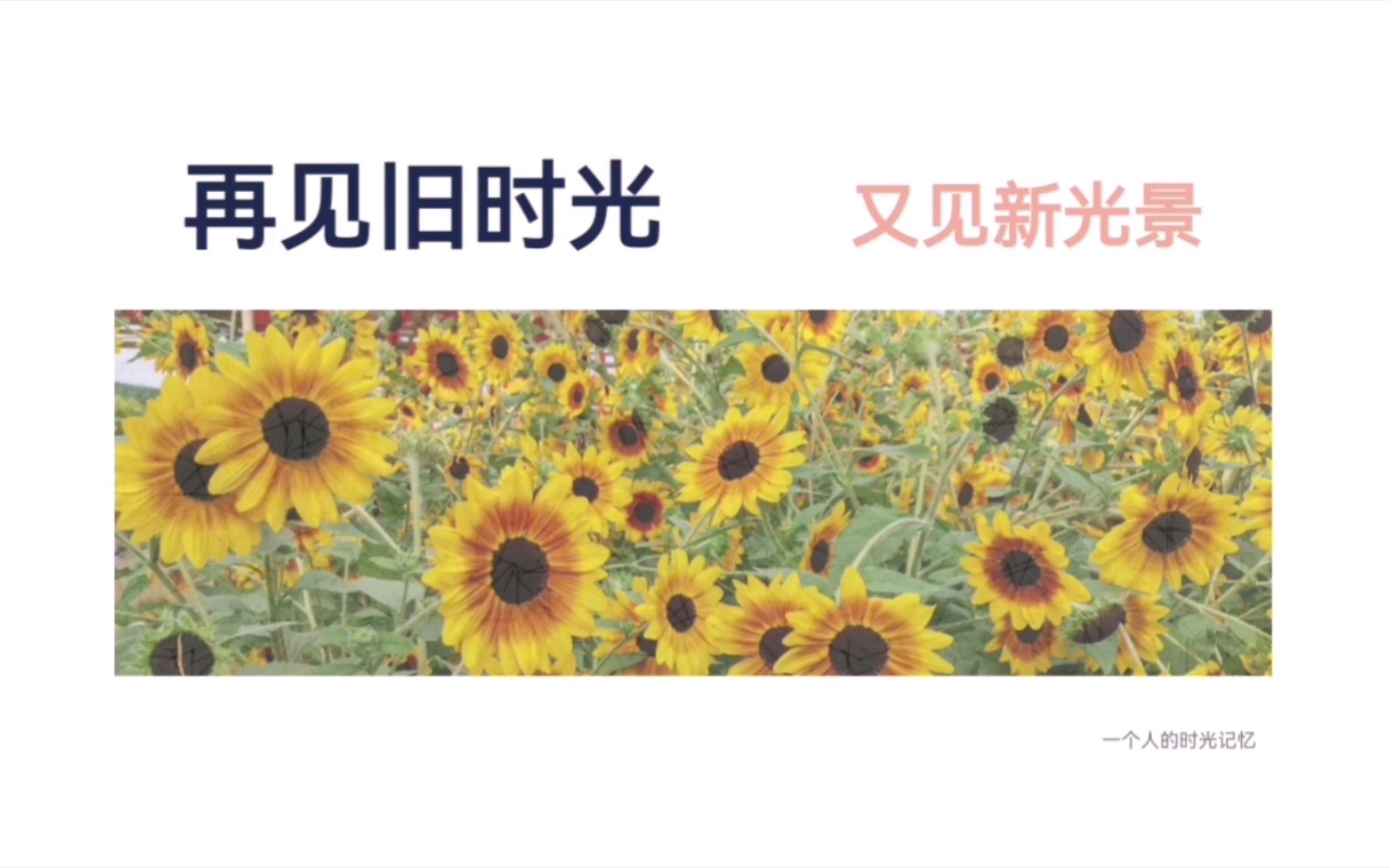妹妹今年10岁叔叔今年36岁在线看与妹妹和叔叔的时光记忆