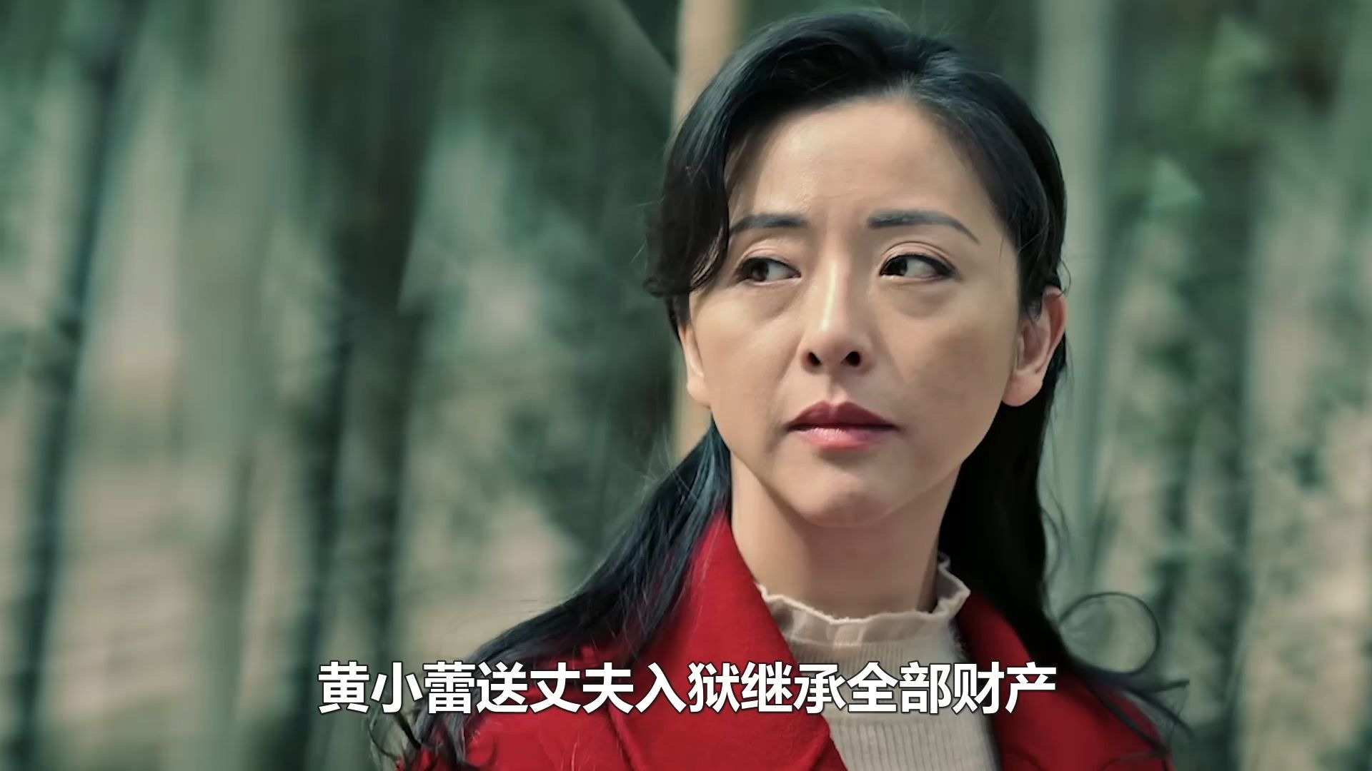 黄小蕾女演员黄小蕾的魅力与艺术探索