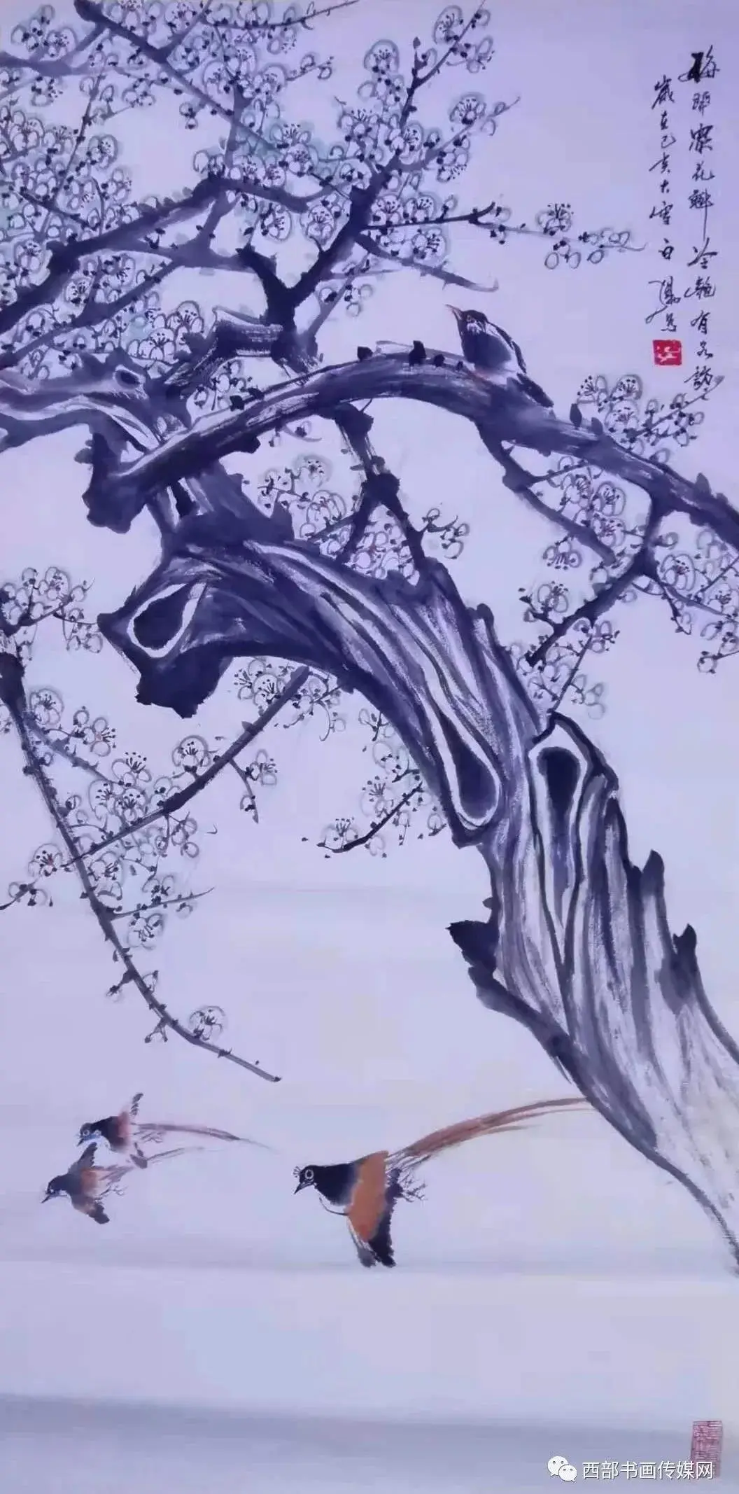 知花梅沙，探寻自然之美与文化之韵-第3张图片