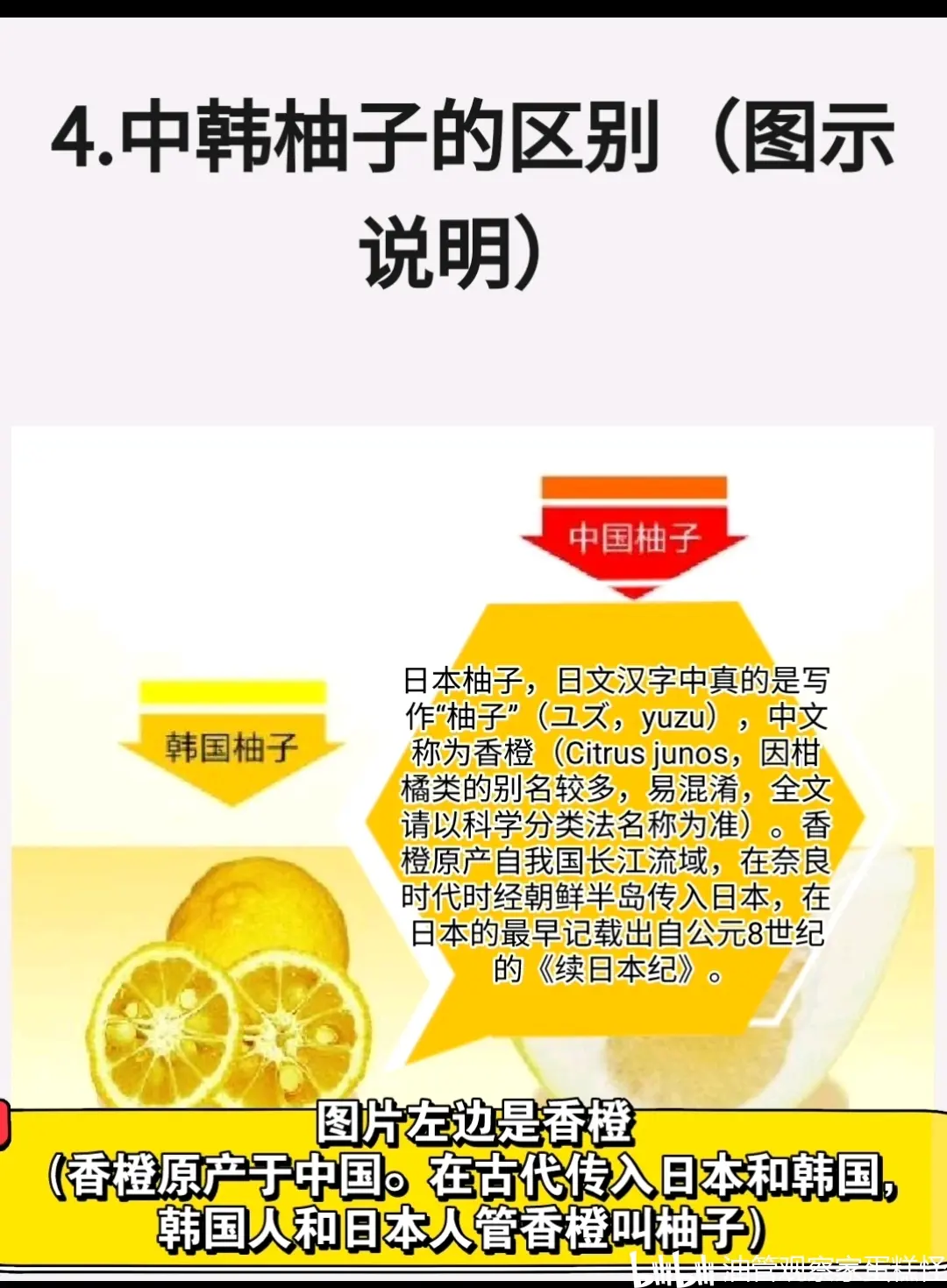 中日韩免视频上线全都免费软件介绍中日韩免视频上线，共享文化盛宴，尽享免费视听-第1张图片