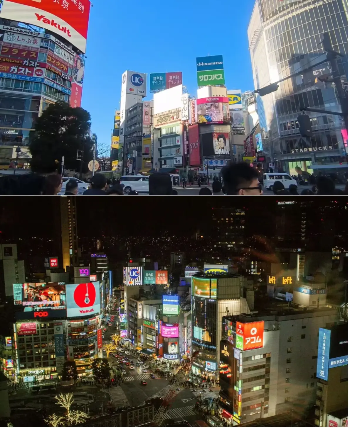 东京热播东京热播，都市繁华中的文化潮流-第2张图片