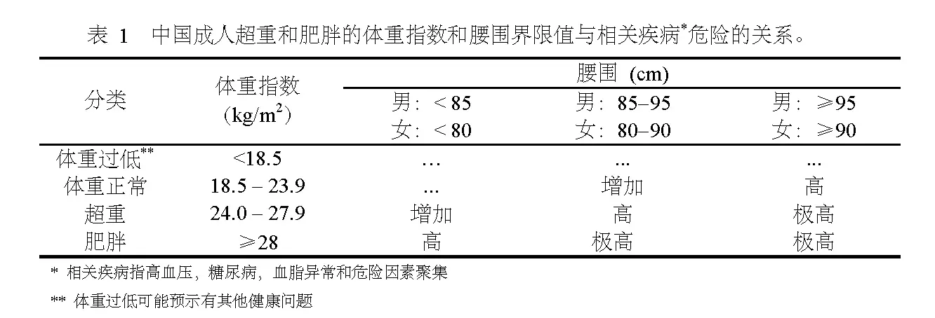 bbbbbxxxxx肥胖肥胖问题，从BBBBB到XXXXX的挑战与应对
