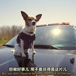 2012年中文电影字幕的移动在线观看体验