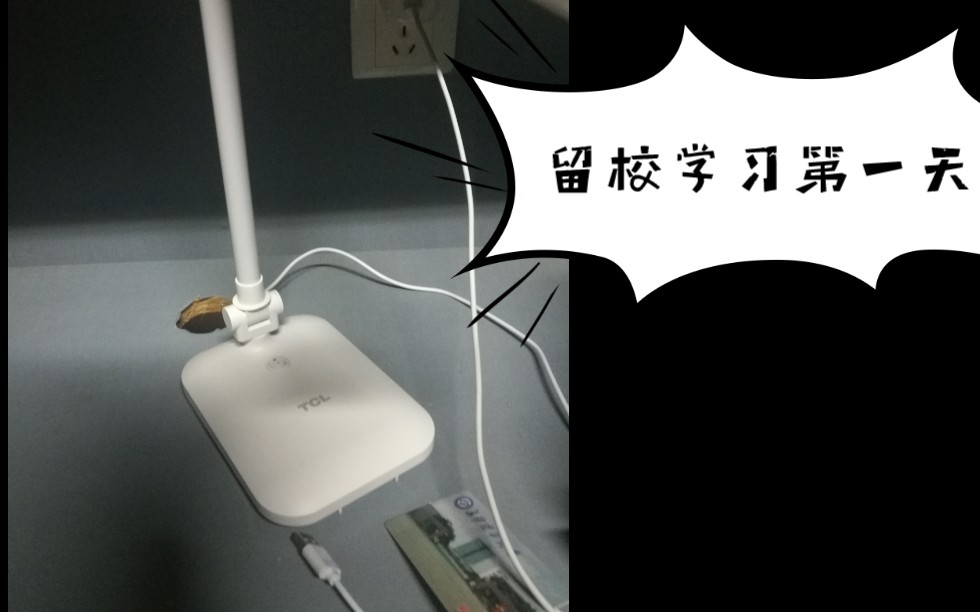 深夜的探索，晚上睡不着偷偷看B站大全-第1张图片