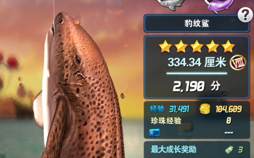 钓鱼发烧友攻略最新钓鱼发烧友攻略最新版，从新手到大师的进阶之路-第1张图片