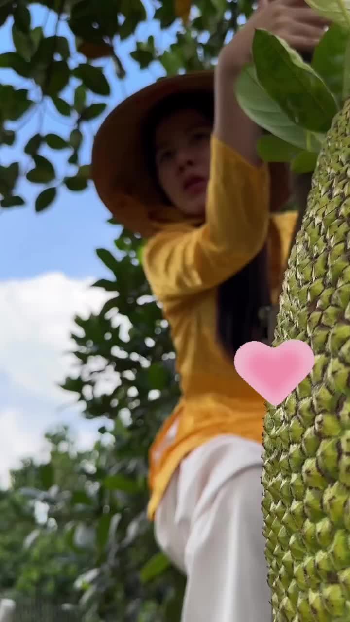 菠萝蜜视频视频免费观看菠萝蜜视频，免费观看视频的乐趣之旅-第3张图片