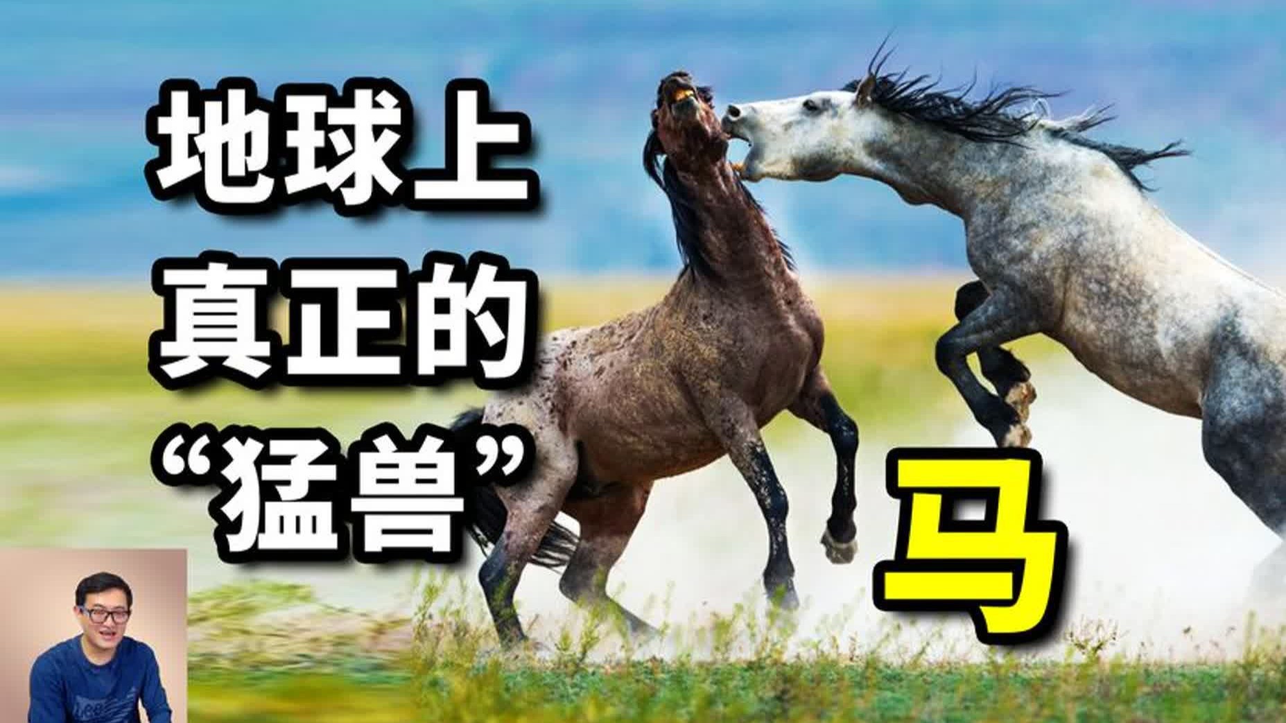 人类大战猛兽的视频大全下载人类大战猛兽的精彩视频大全