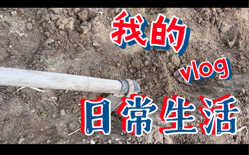 一二三四在线观看免费高清中文文评价怎么样?一二三四在线观看免费高清中文的体验与探索