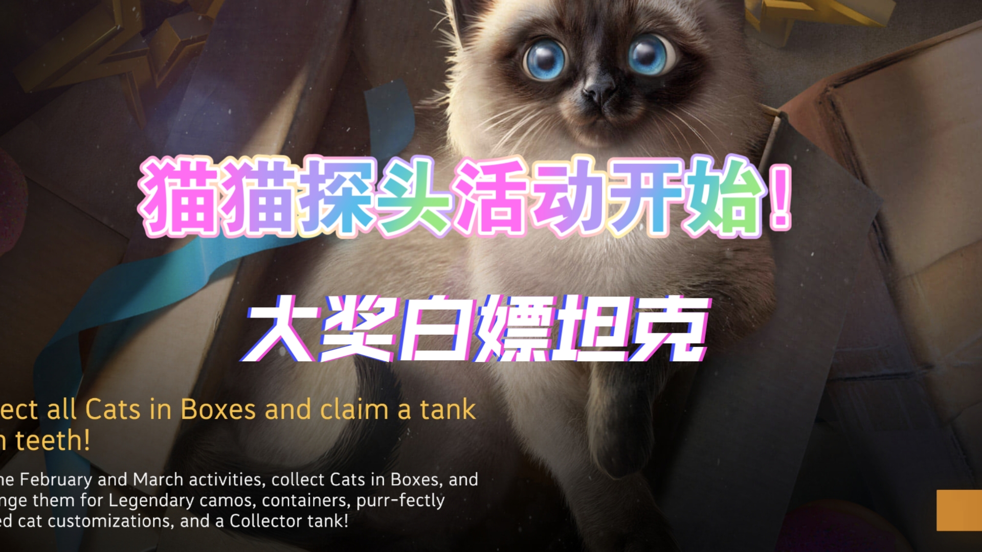 猫咪社区www在线资源探索猫咪社区的www在线资源