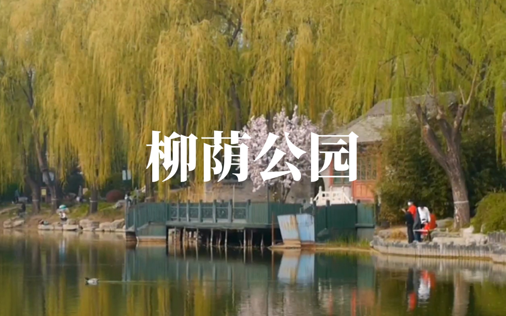 春暖花开哔哩哔哩春暖花开，探索春日之美的网址之旅-第2张图片