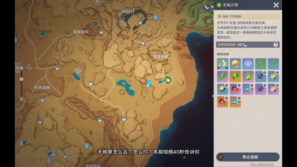 无相之草的打法攻略-第1张图片