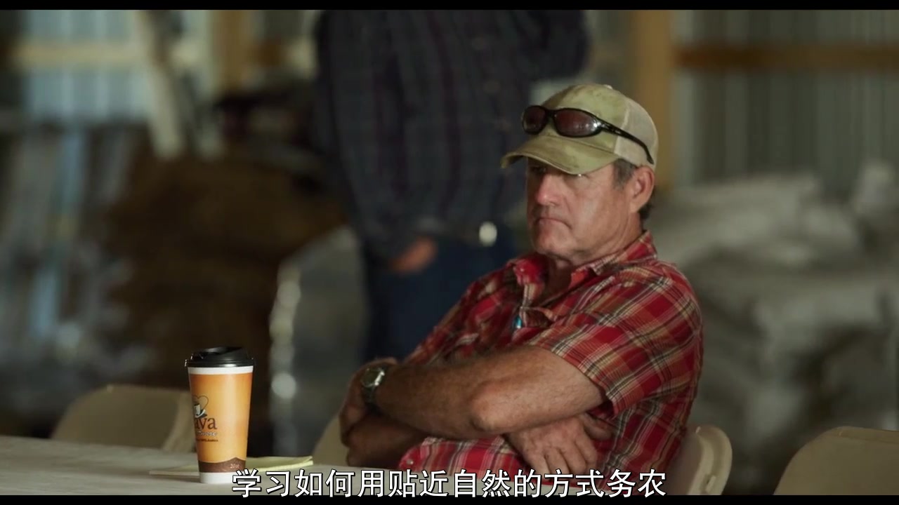 最近更新中文字幕完整版视频的探索与分享-第3张图片